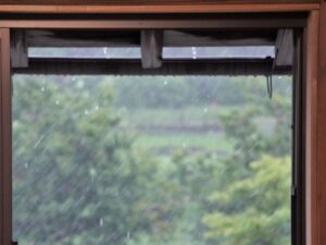 室内から見る大雨が降ってる様子